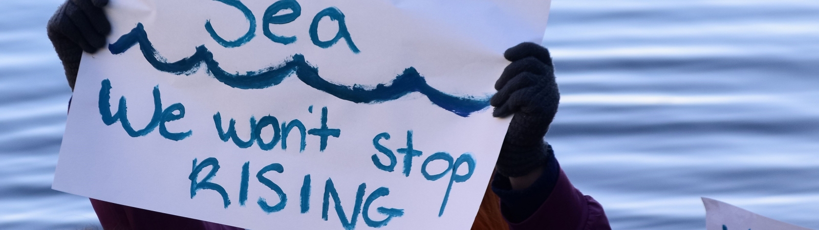 a person at a rally holding a sign that reads "like the sea, we won't stop rising"