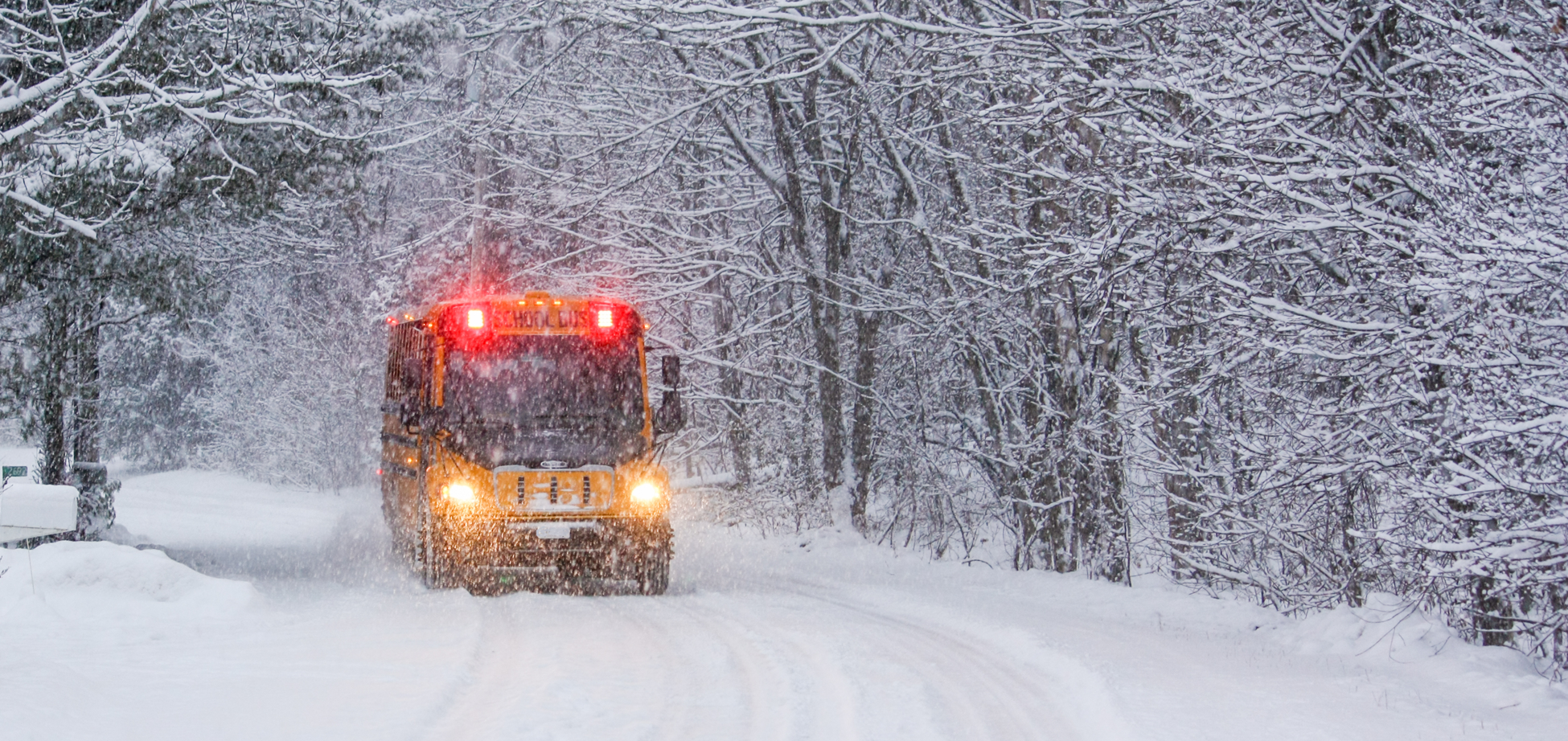 an electric school bus driving down a snowy, tree-lined road