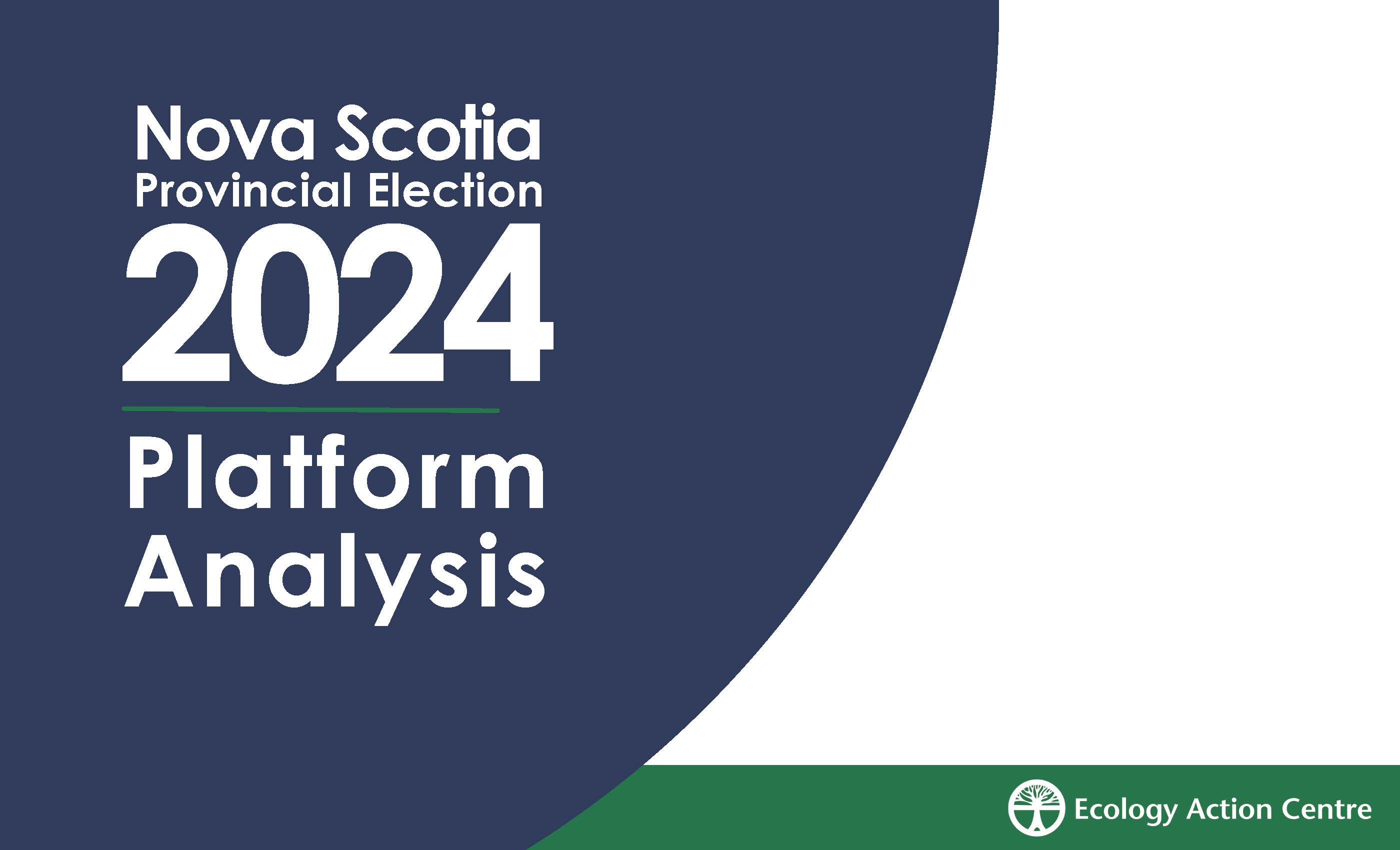 Platform Analysis 2024 cover