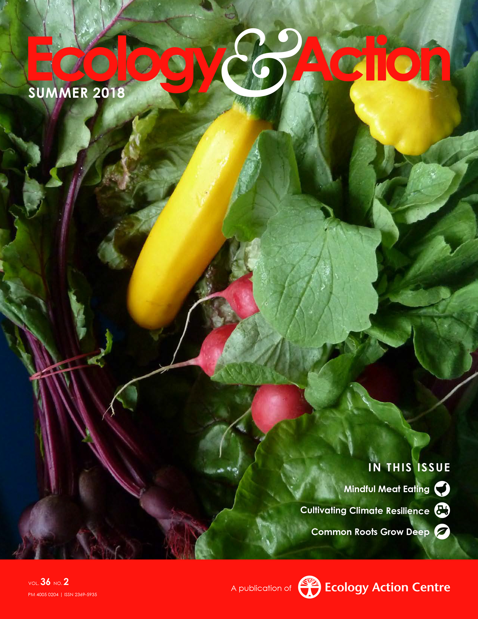 Summer 2018 magazine cover