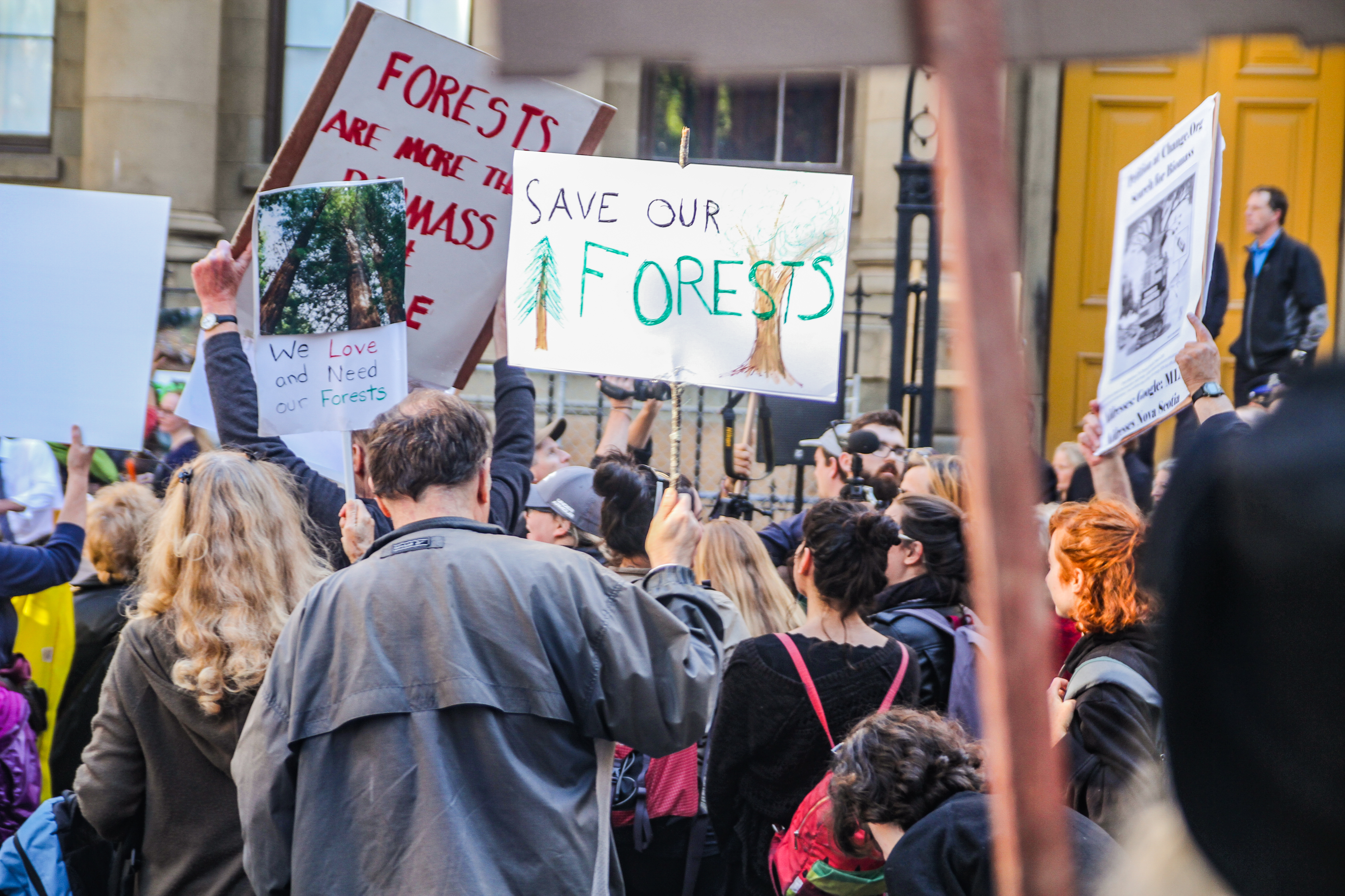 People attend a rally against clearcutting in Halifax. A man in a grey coat holds a sign that says save our forests. 