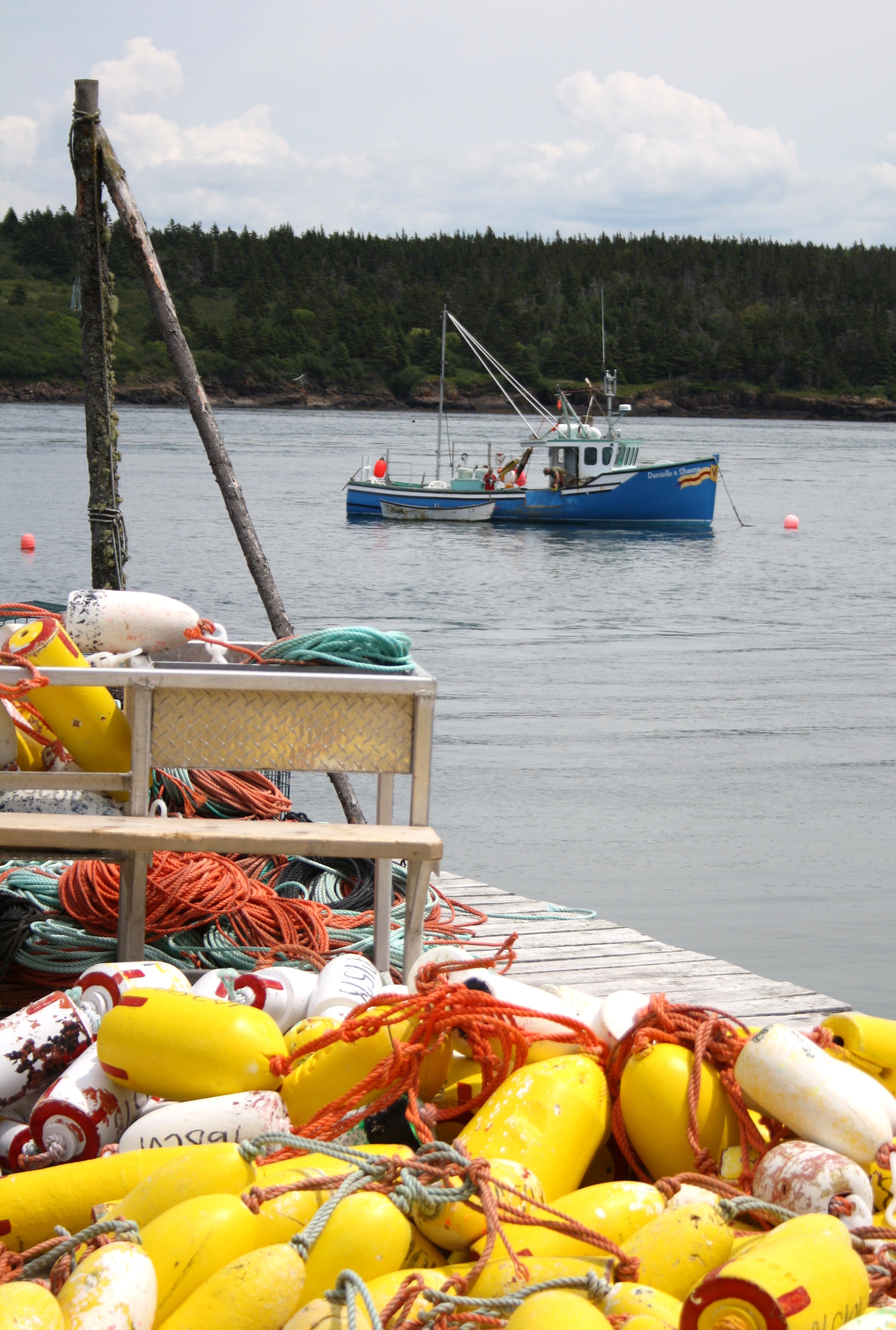 Healthy Fish, Resilient Fisheries