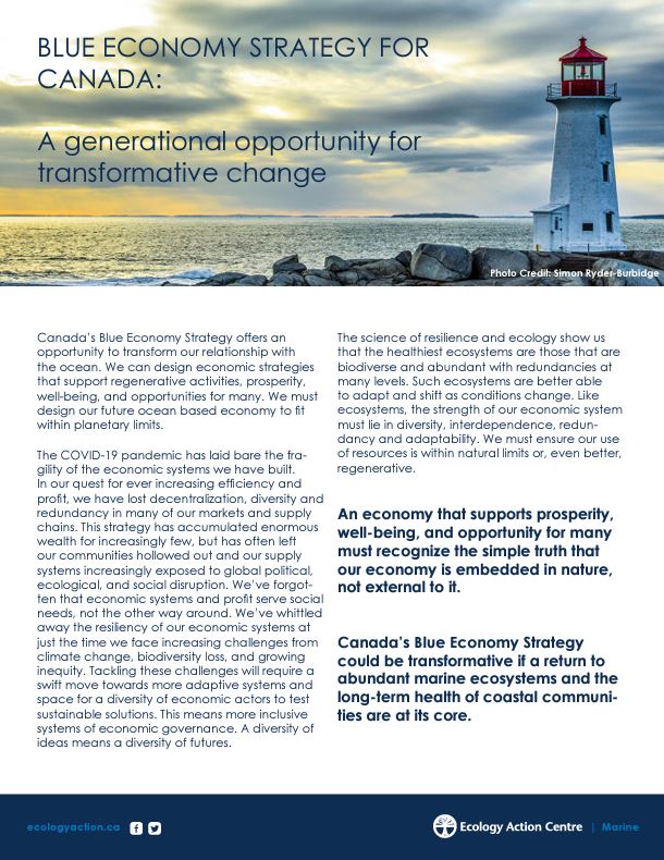 Cover of EAC’s Blue Economy Strategy document, featuring a photo of a lighthouse.