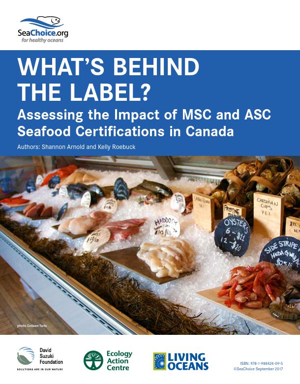 Cover page of the What’s Behind the Label report, featuring a photo of a variety of seafood for sale.