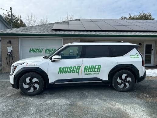 msugo