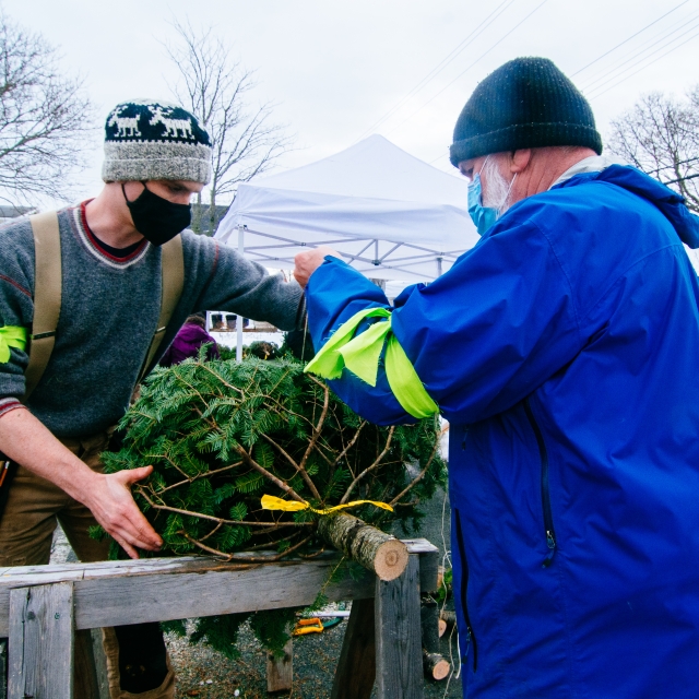Volunteers packing up a Christmas tree at our annual tree sale fundraiser