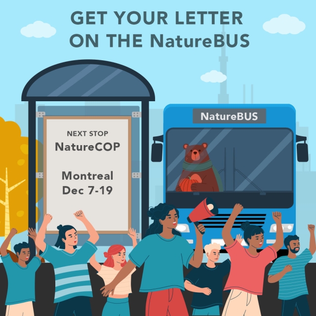 a bus is at a stop with animals on it. a crowd surrounds it chanting messages of support for nature. A bus stop sign reads: next stop, Nature COP, December 7-19