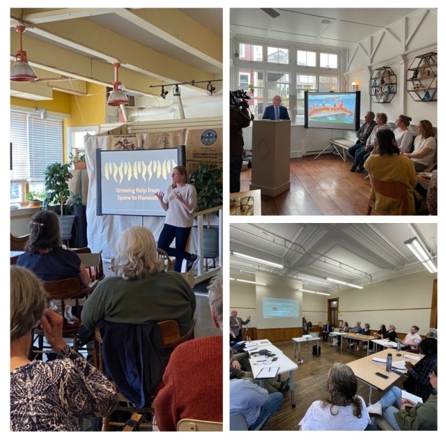 a grid of three images of various presentations to attendees at the 2023 Kelp Kurious conference