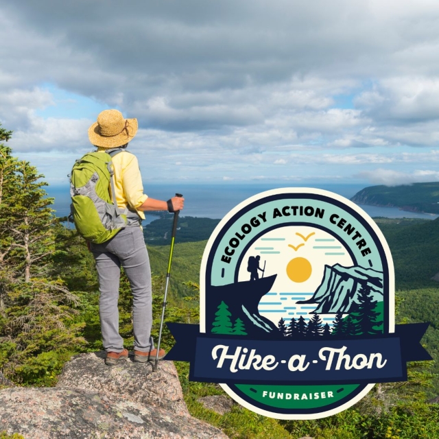 a woman hiking overlooking a forest, with a logo promoting EAC's hikeathon fundraiser