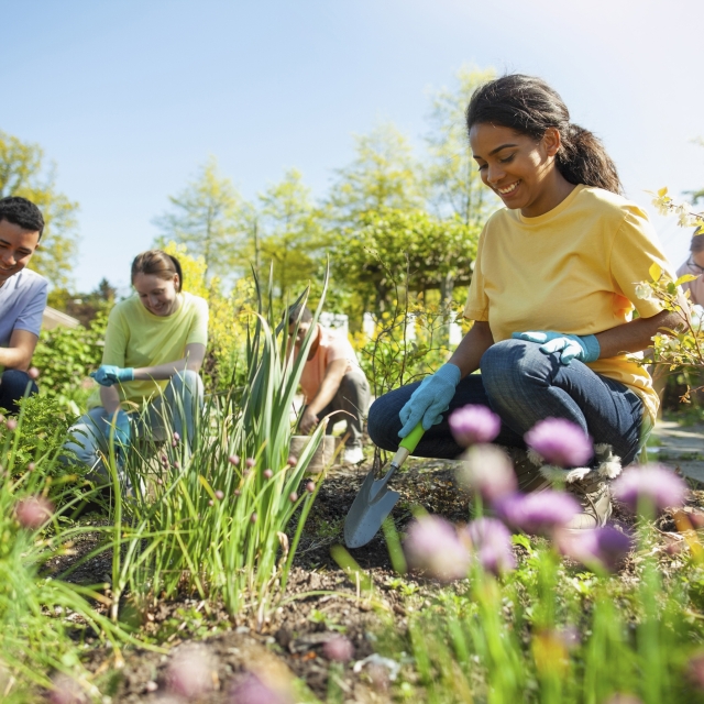 a group of people gardening. the main person is wearing a yellow shirt.