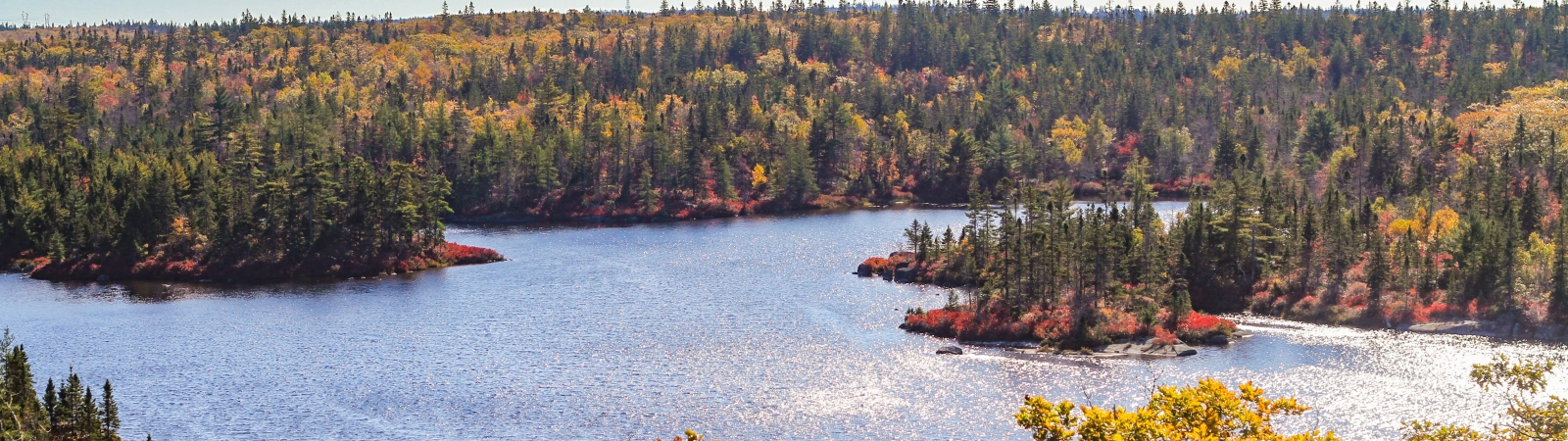 aerial view of a lake surrounded by trees in the Blue Mountain Birch Cove Lakes area