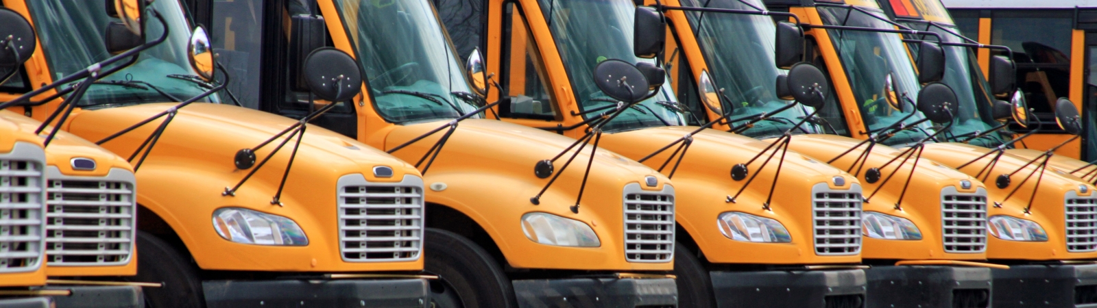 a row of electric school buses