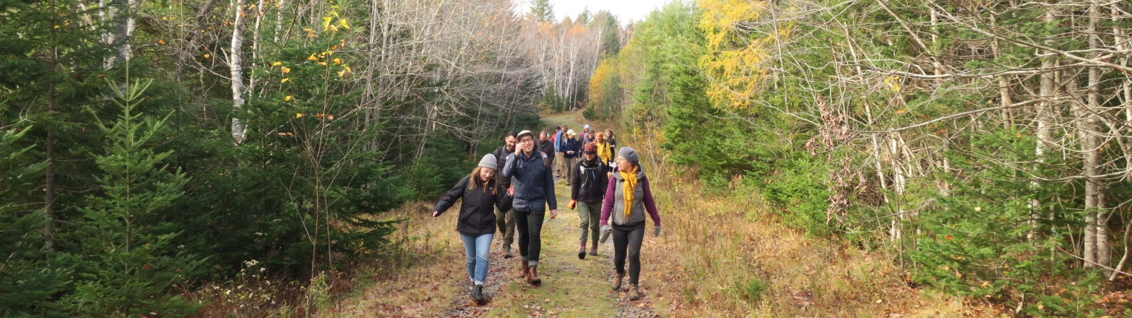 about a dozen people hiking on a wide trail in a forest in the fall