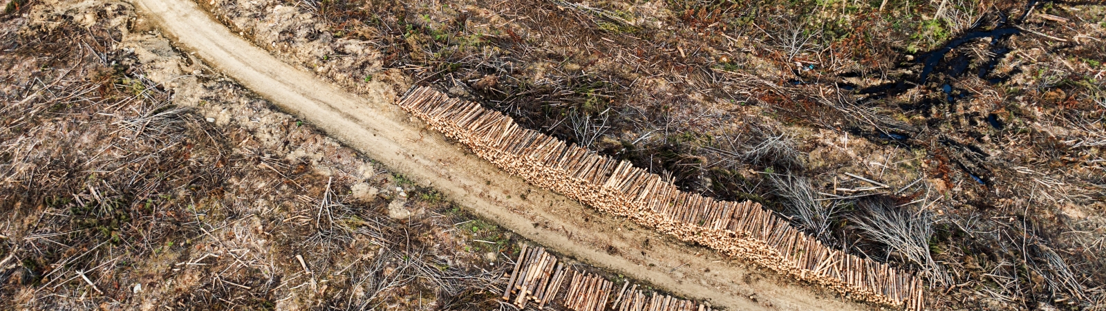 an arial view of an access road through a clearcut in Nova Scotia