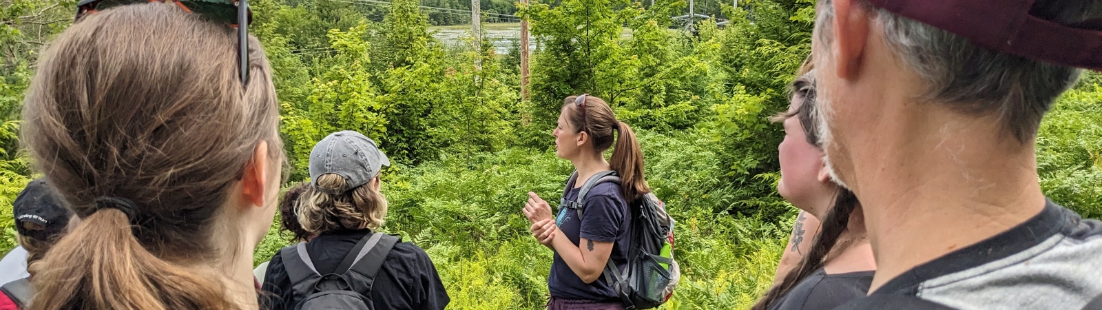 people hiking in a grassy area with powerlines in the background