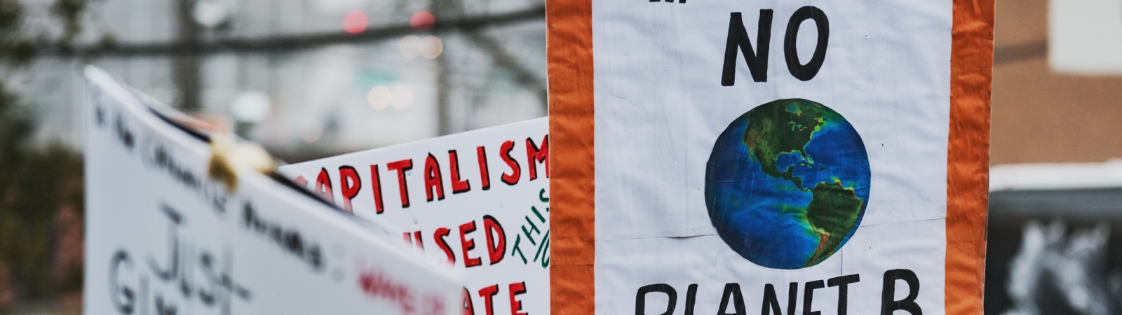 A sign saying "The is NO planet B" is being held at a rally.