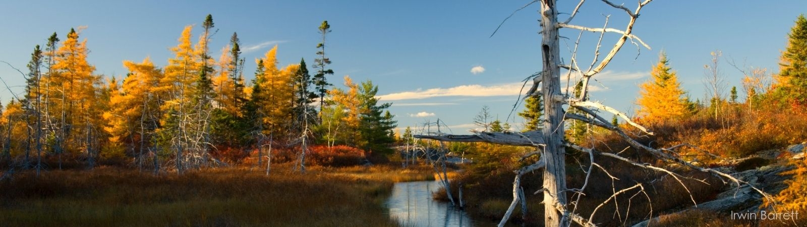 Fox Lake with autumn trees