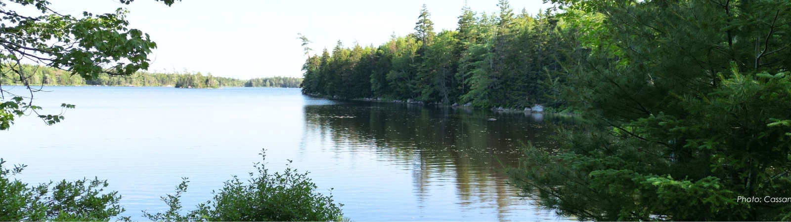 Goldsmith Lake with trees reflected in water