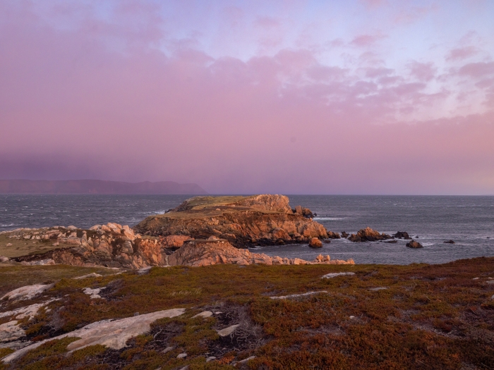 pink sunset over rocks and ocean