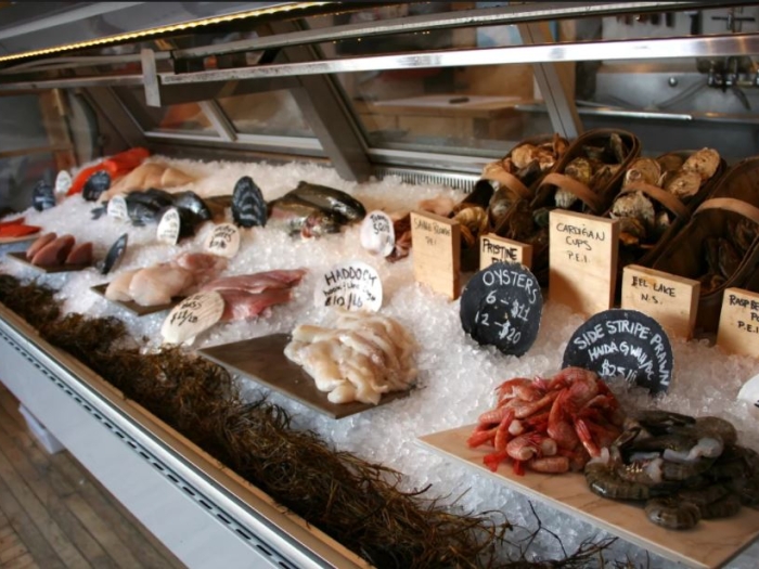 A variety of fish and oysters for sale with small signs on ice in a glass container of a shop.