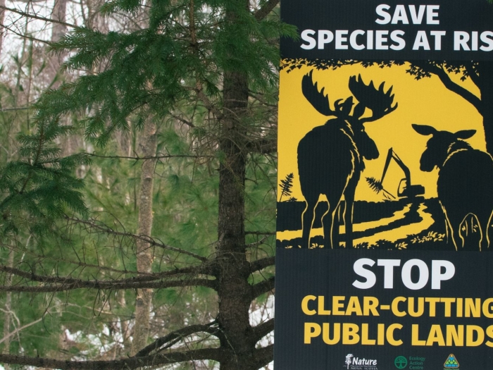 stop clear cutting public lands sign.