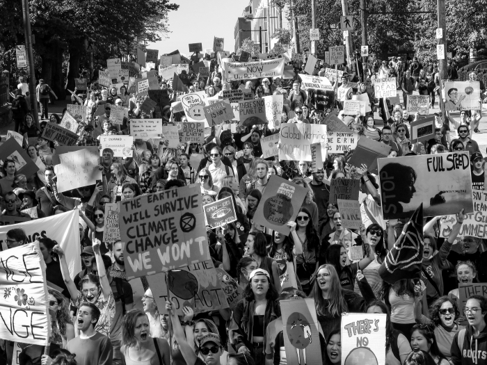 an image of a crowd of people holding signs at the climate strike in 2019