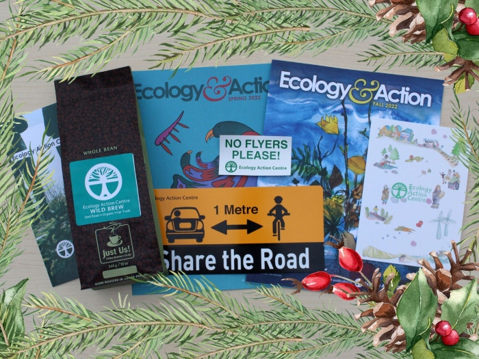 an image of a brochure, bag of coffee, i share the road car magnet, two ecology and action magazines, a no flyers stickers and a card laid out on a desk.