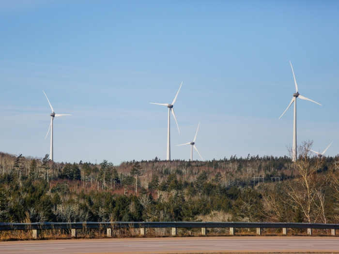 four windmills seen from the side of a road beside a forest