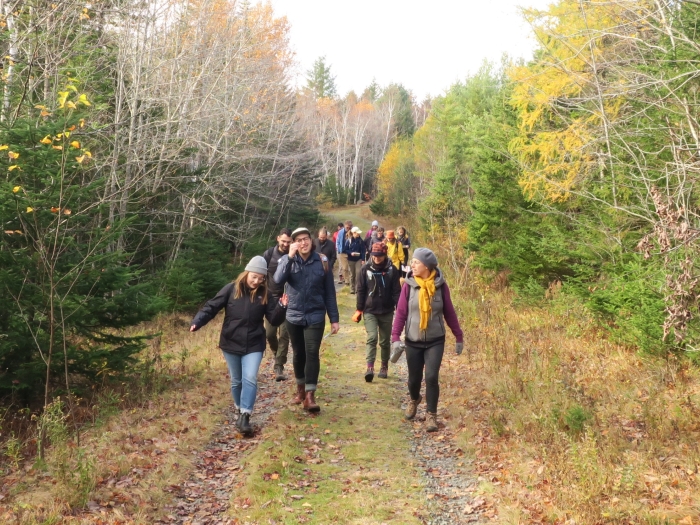 about a dozen people hiking on a wide trail in a forest in the fall