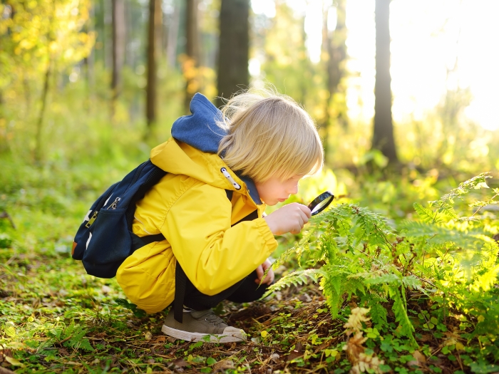 a child with blond hair, a yellow jacket and black backpack looking at plants in the woods.