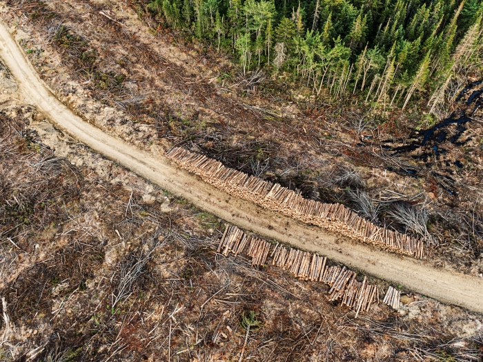 an arial view of an access road through a clearcut in Nova Scotia