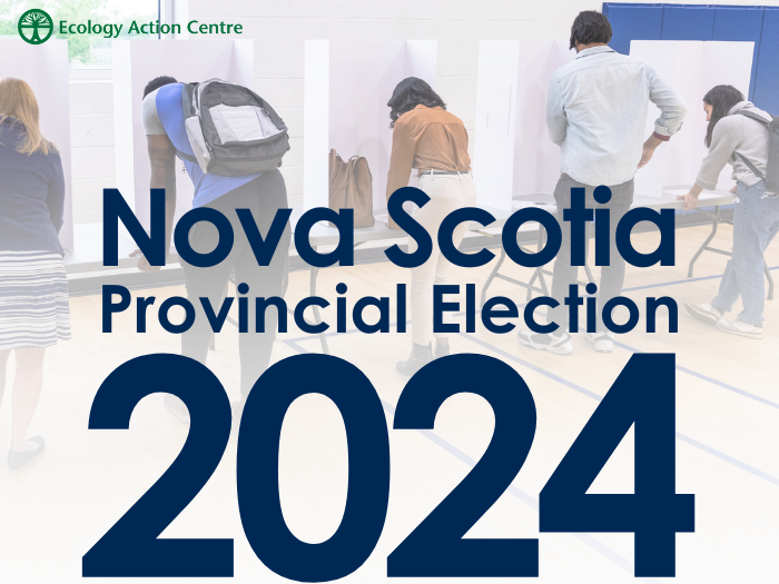 people at a polling booth, with text overtop reading "Nova Scotia Provincial Election 2024"