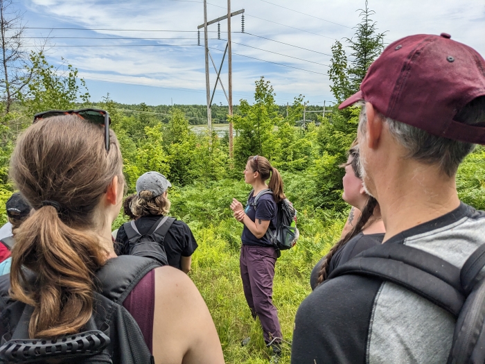 people hiking in a grassy area with powerlines in the background