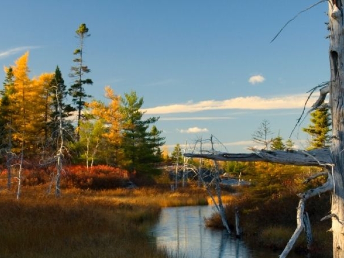 Fox Lake with autumn trees