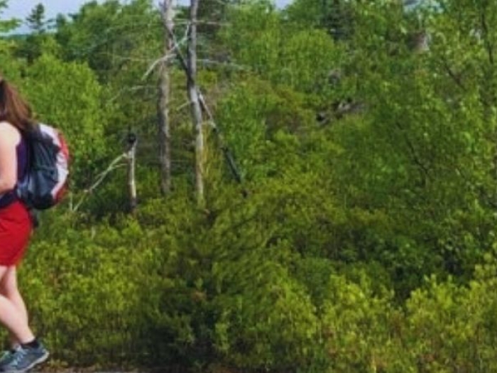 Three people pausing to talk while on a hike