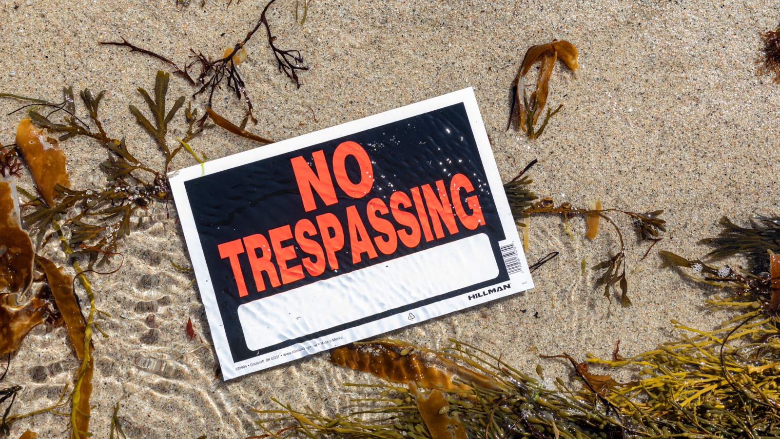 a not trespassing sign laying on a beach surrounded by seaweed