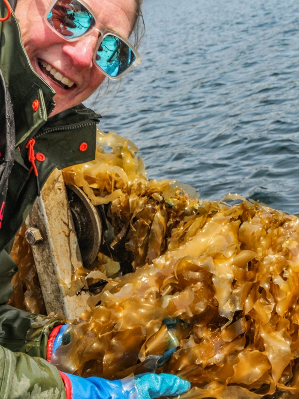 An smiling individual holds up a bunch of locally grown kelp.